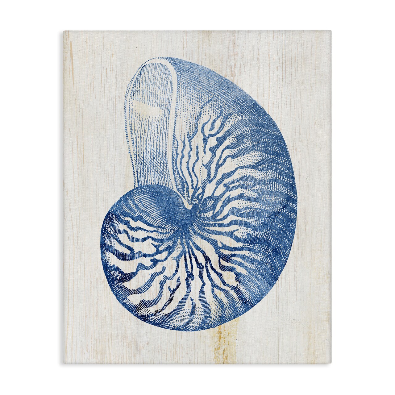 Stupell Industries Blue Nautilus Shell Canvas Design by Susan Arnot
